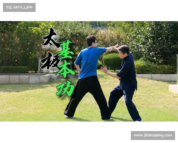 这套太极拳,一看就是专业练家子! 这套太极拳,一看就是专业练家子!